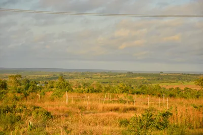 DSC_4323 (Large).JPG